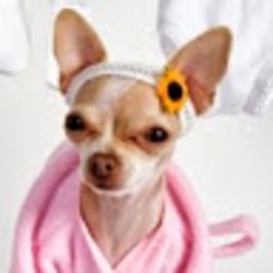 marysutherland avatar