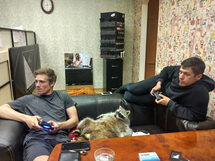 Sorry, It's Only A 2 Player Game