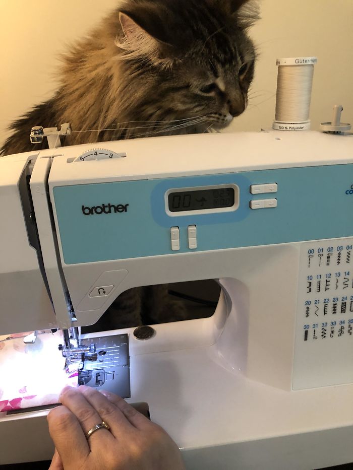 I Couldn’t Figure Out Why The Fabric Felt Wet But He’s Got The Thread Running Through His Teeth As I Sew. Gross