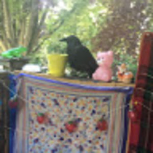 kerryericksson_1 avatar