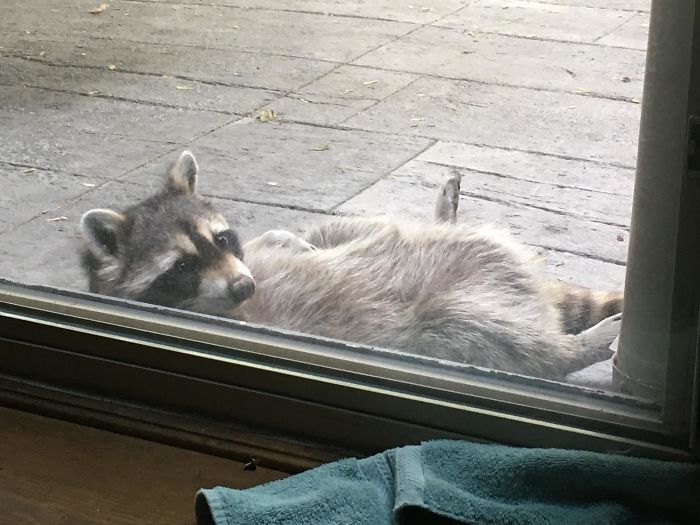 Just Chillin’ On My Patio