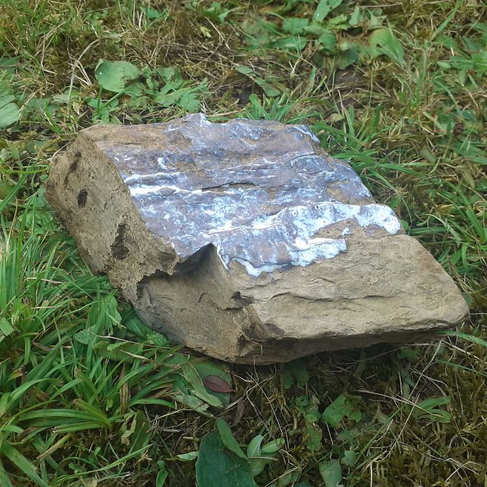 She Put Sunscreen On This Rock "So It Doesn't Burn"