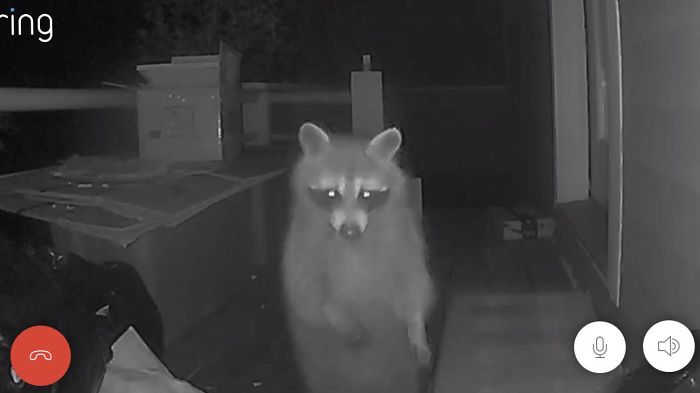 Not Sure Why But She Keeps Ringing The Doorbell Every Morning About Three