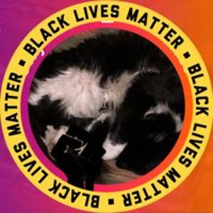 sophie_knight avatar