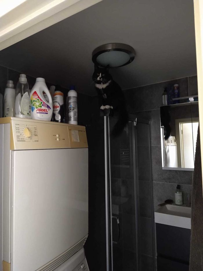 We Heard Yelling Coming From The Bathroom...