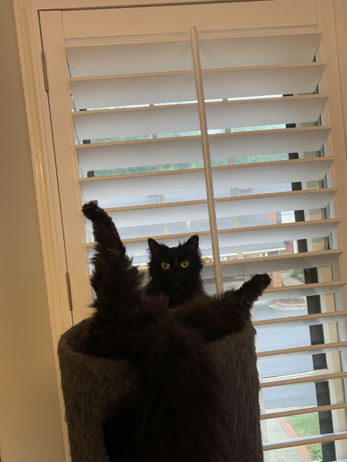 Why Is She Like This