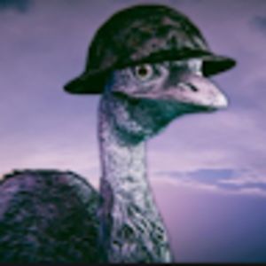 trevordevonshirestudent avatar