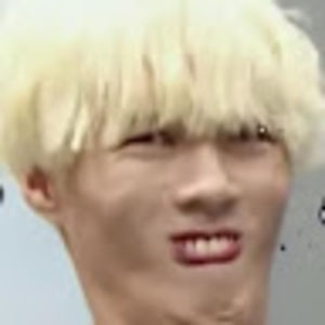 brunobarillaro avatar