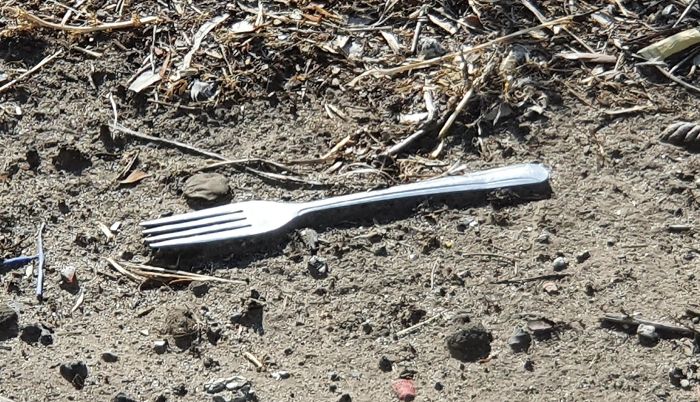 What Happens To A Fork If It Lies On The Side Of The Road
