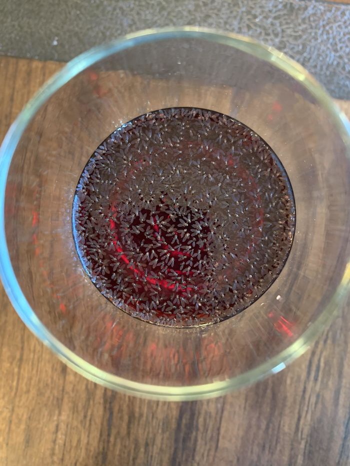 What Happens If You Leave A Wine Glass Outside Overnight