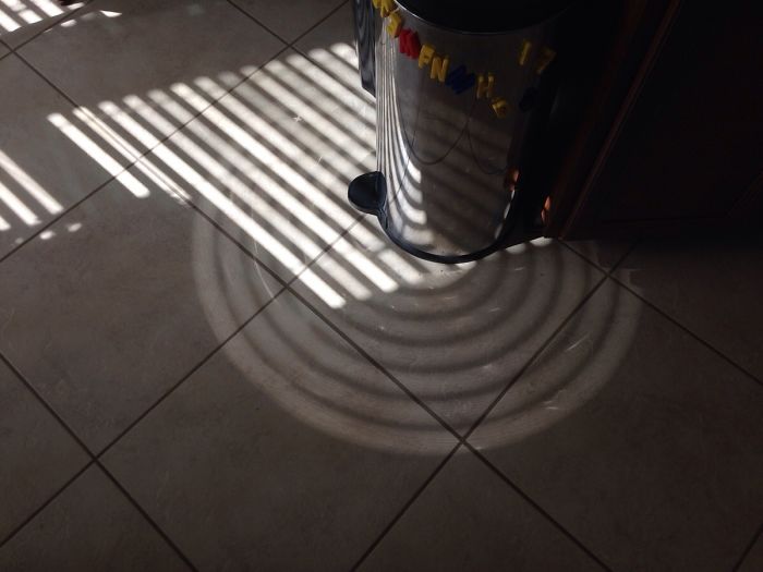 Apparently This Is What Happens When Light Passes Through The Blinds And Hits A Trash Can