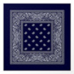 navybluebandana avatar