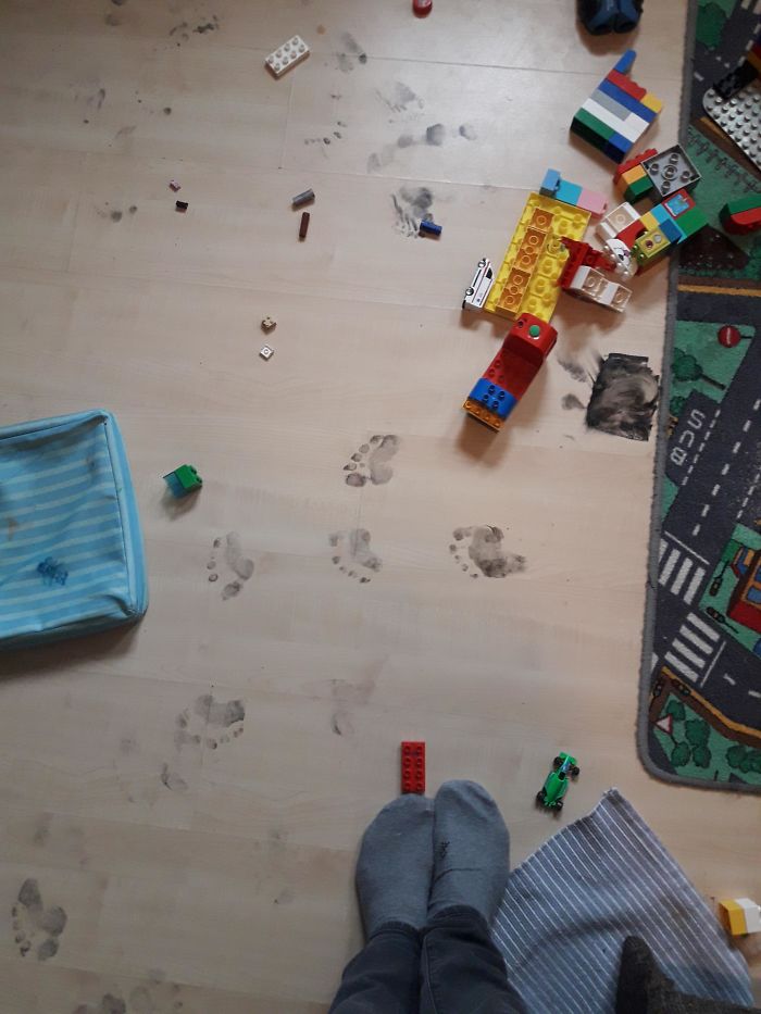 I've Just Been Told The Cats Did This