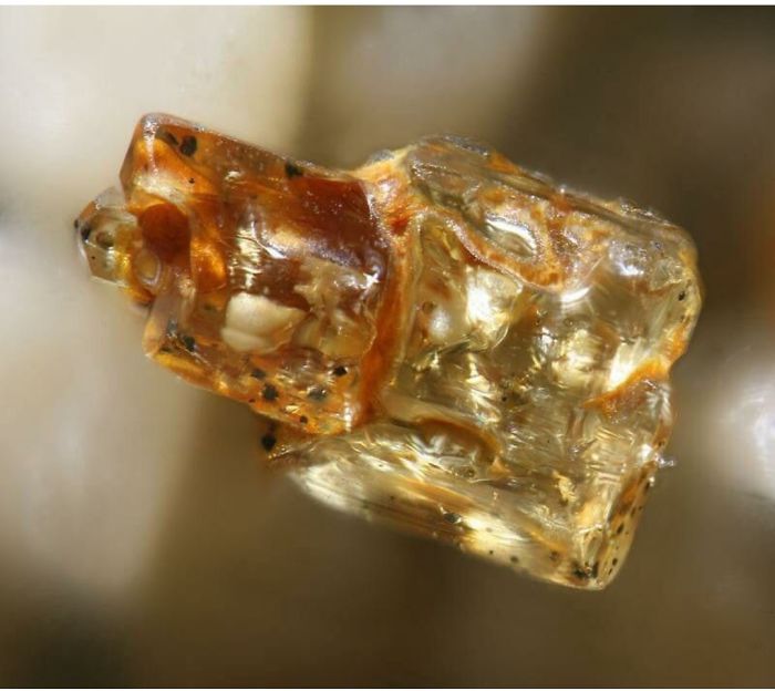 A Single Grain Of Sand Looks Like A Forbidden Gummy Bear