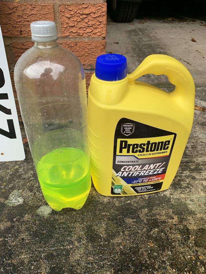 Forbidden Mountain Dew