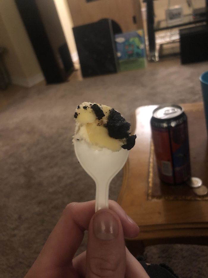 My Bite Of Oreo Cheesecake Sort Of Looks Like A Fat Dog