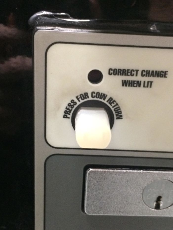 How Did They Get A Cow Into That Vending Machine!