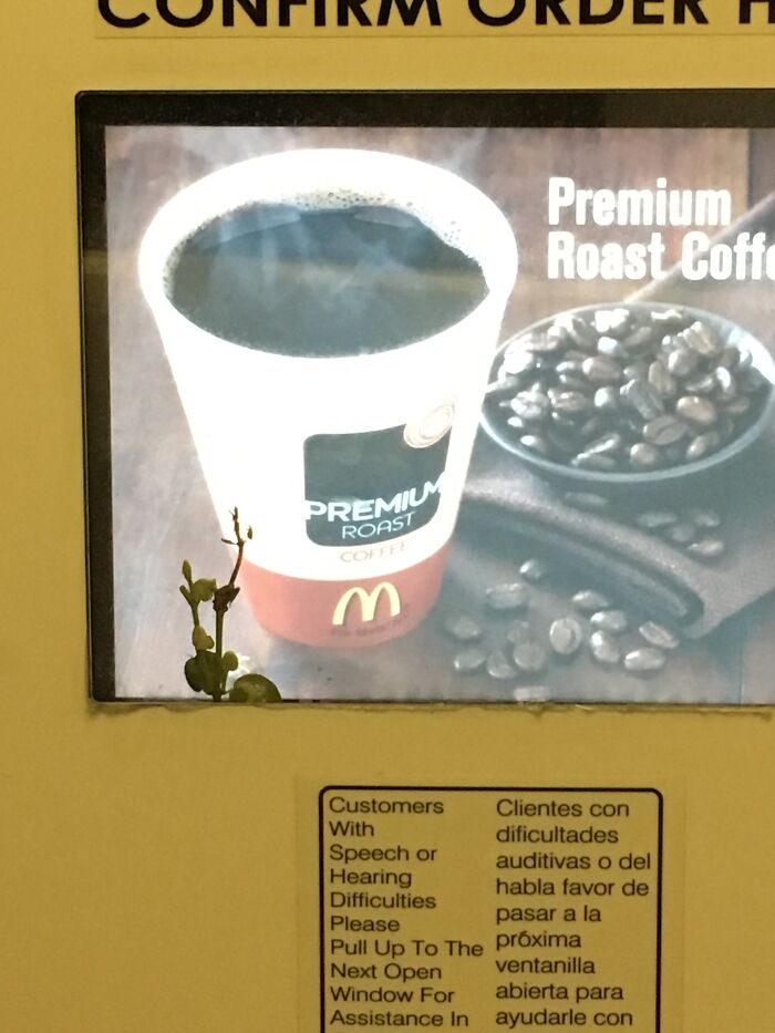 There's A Plant Growing Inside The McDonald's Drive Through Order Screen
