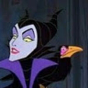 shanevanveghel avatar