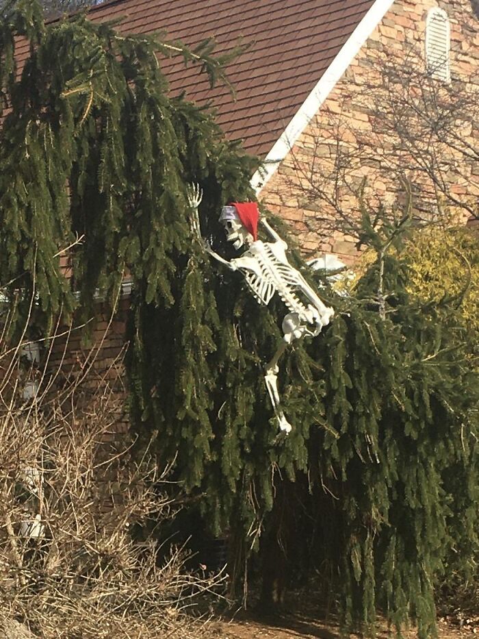 Neighbor’s Response To Hoa’s Email About Taking Down Halloween Decorations. Now It’s A Christmas Decoration