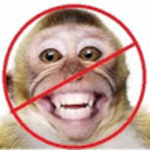 nekenciubezdzioniu avatar