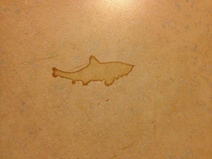 Shark Shaped Coffee Stain