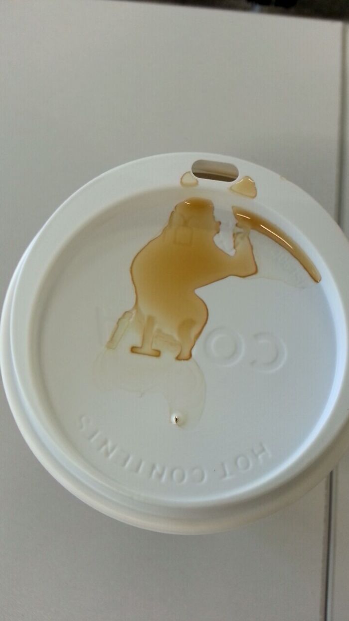 I Spilled My Coffee While Drinking It And Now I've Got A New Buddy...