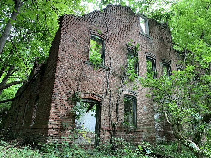 Stumbled Upon This While Surveying In Upstate New York