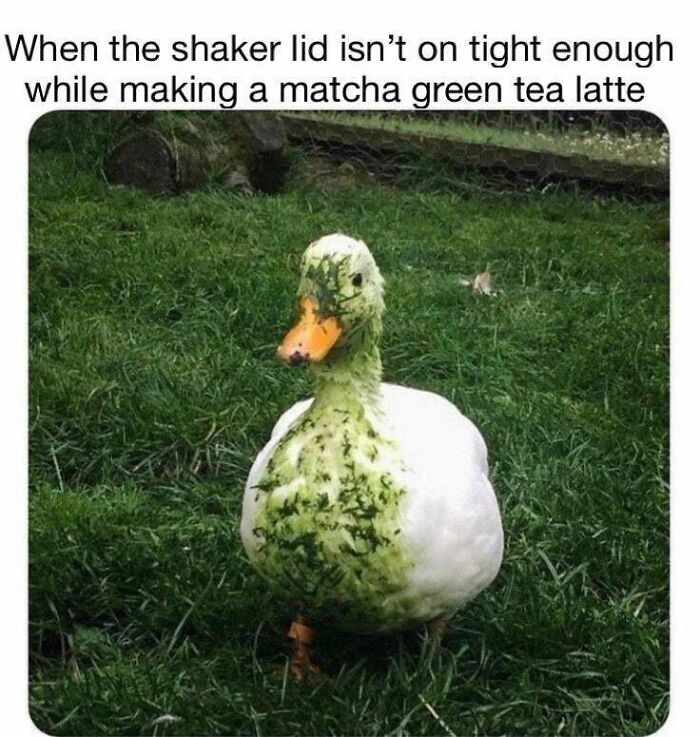 It Can Happen To The Best Of Us