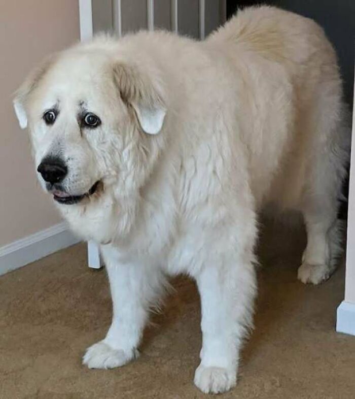 When You're On Bar During Peak And A Frapp Sticker Print That Says Item 1 Of 10