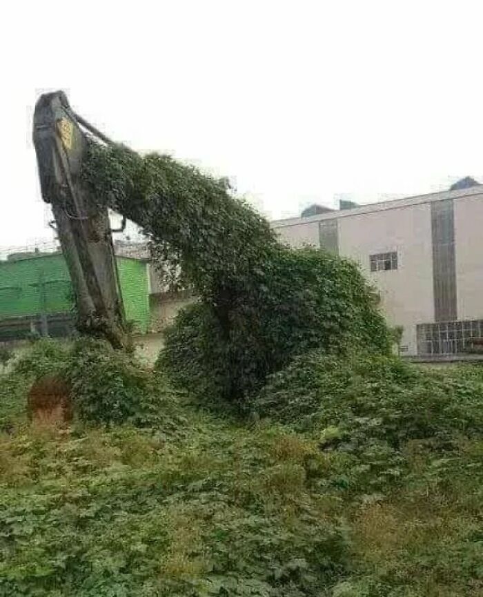Abandoned Machinery, Romania