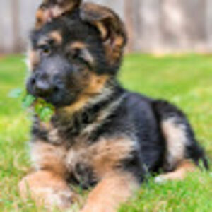 zaleeyazepeda avatar