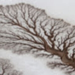 kendrawillett avatar