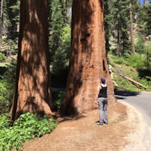 suzannegriffin avatar