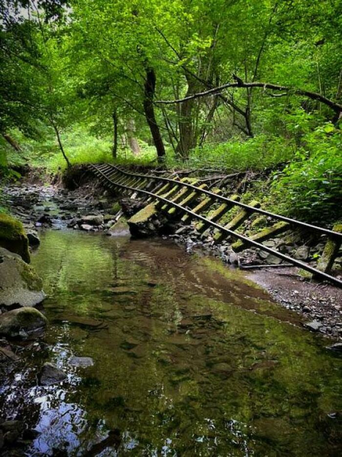 Abandoned Railroad Tracks In Forest