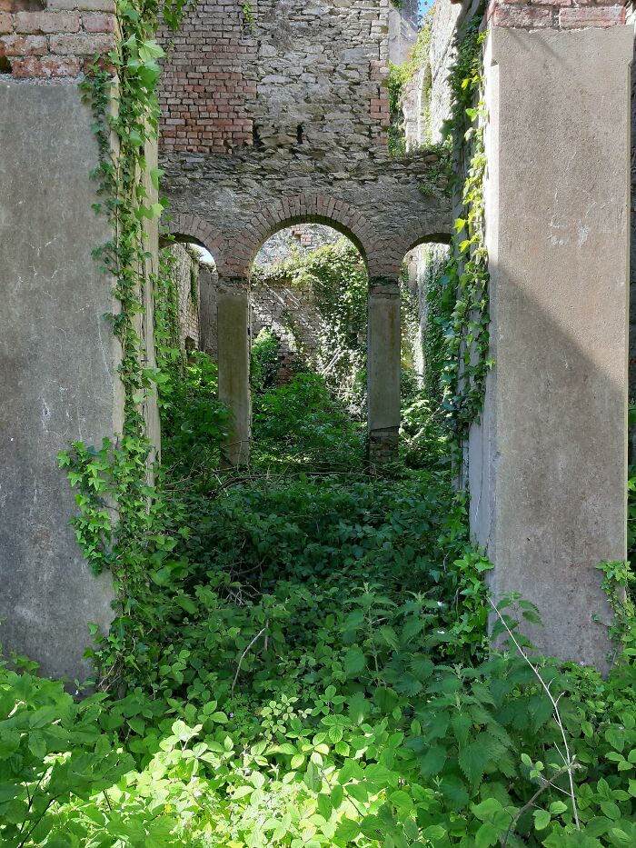 The Inside Of A Castle Near Where I Live, Ireland