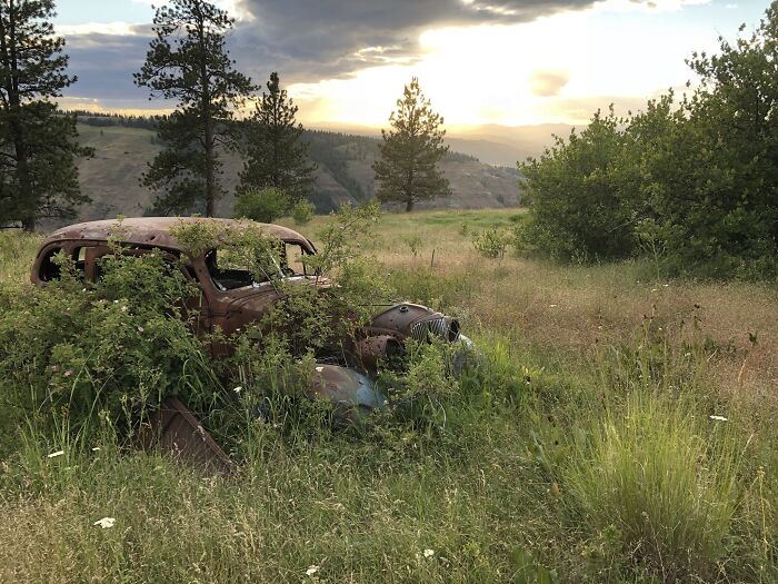 This Car Was Left On My Grandparents’ Property When They Bought It