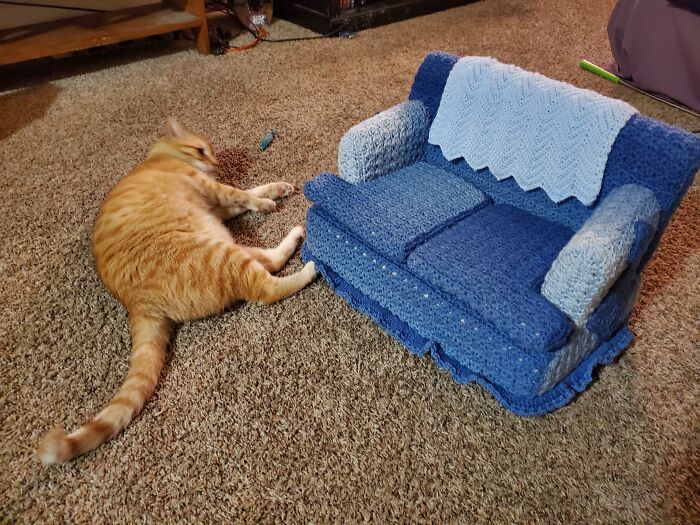 My Aunt Made A Couch For My Cat