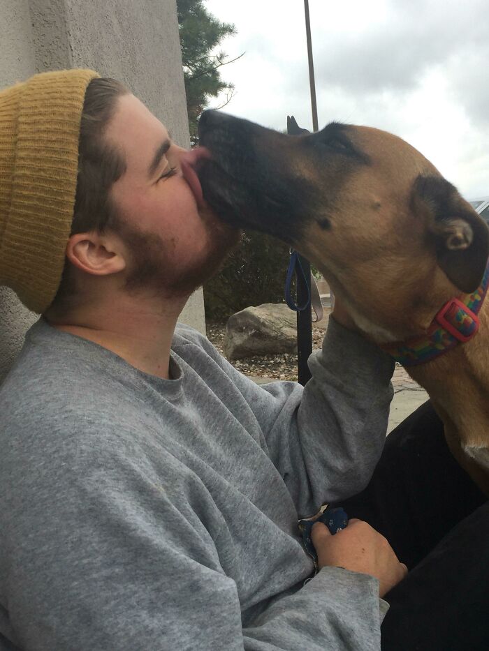 Sorra Is A Rescue And Mostly Malinois, She's A Unicorn For Her Breed. I Love Her To Bits