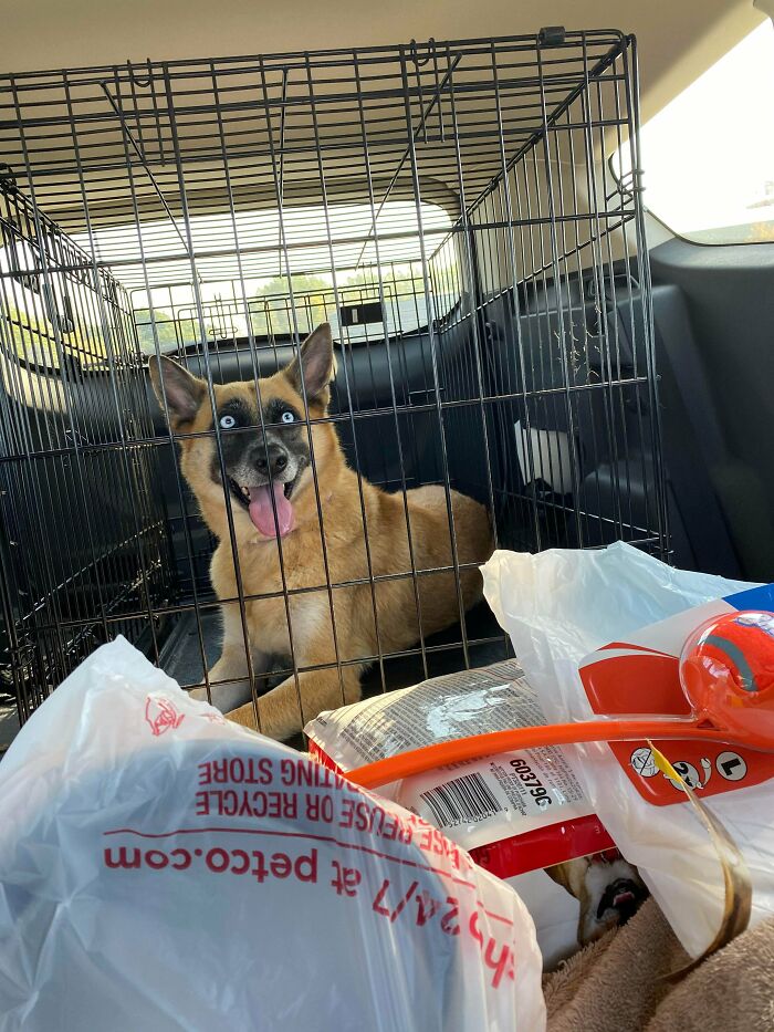 Adopted This Beautiful 4 Year Old Girl Yesterday