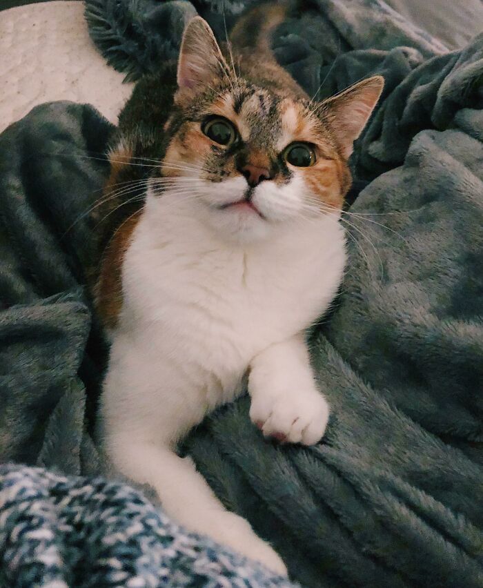 Adopted This Bby Couple Months Ago And Looks Like The Love Is Mutual