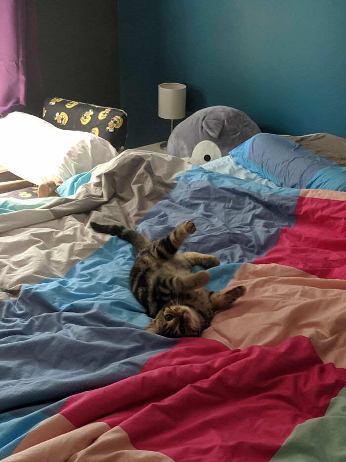 1 Week After Adoption