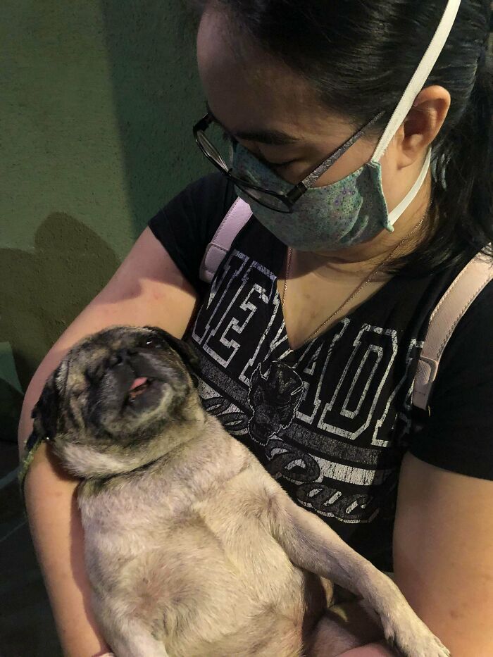 This Is Pops. He Has One Eye And That Eye Is Totally Blind. He’s 12 And Likes To Be Carried Like A Baby. We Are Adopting Him From The Shelter Soon!