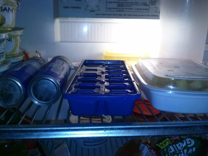 Opened The Fridge To Find This. It's Been Hours. Thank You, Pregnancy, For Making Me Brain-Dead.