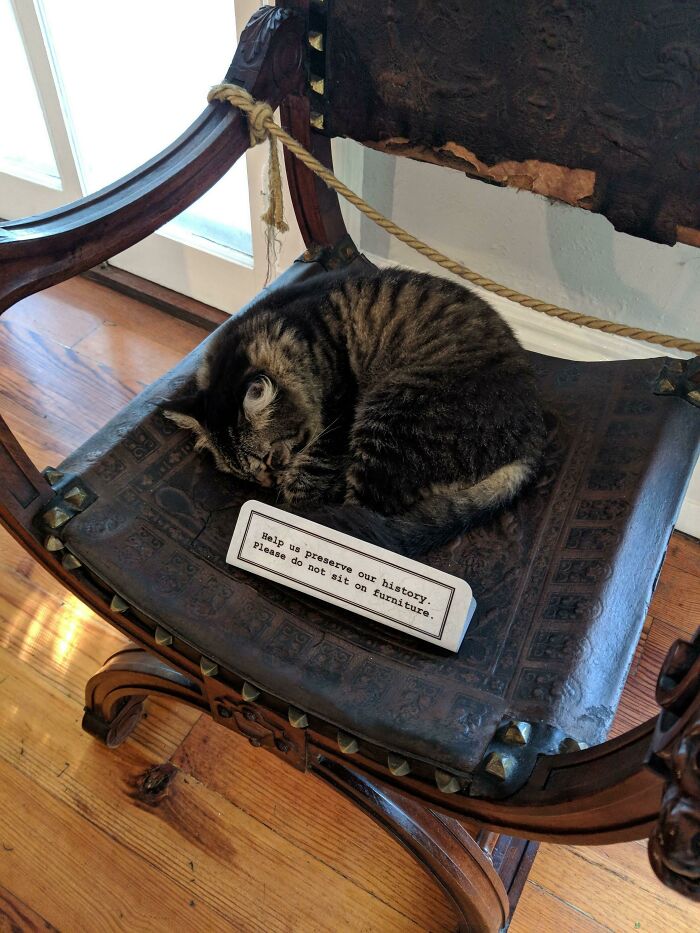 I'll Just Get Cozy Right Here