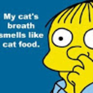 mittenswiggum avatar