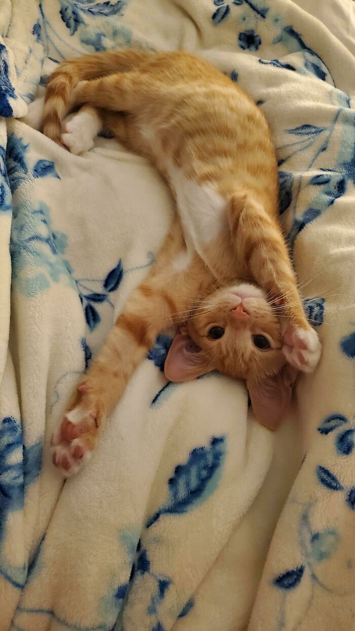 Adopted This Little Baby Boy Last Week His Name Is Franklin