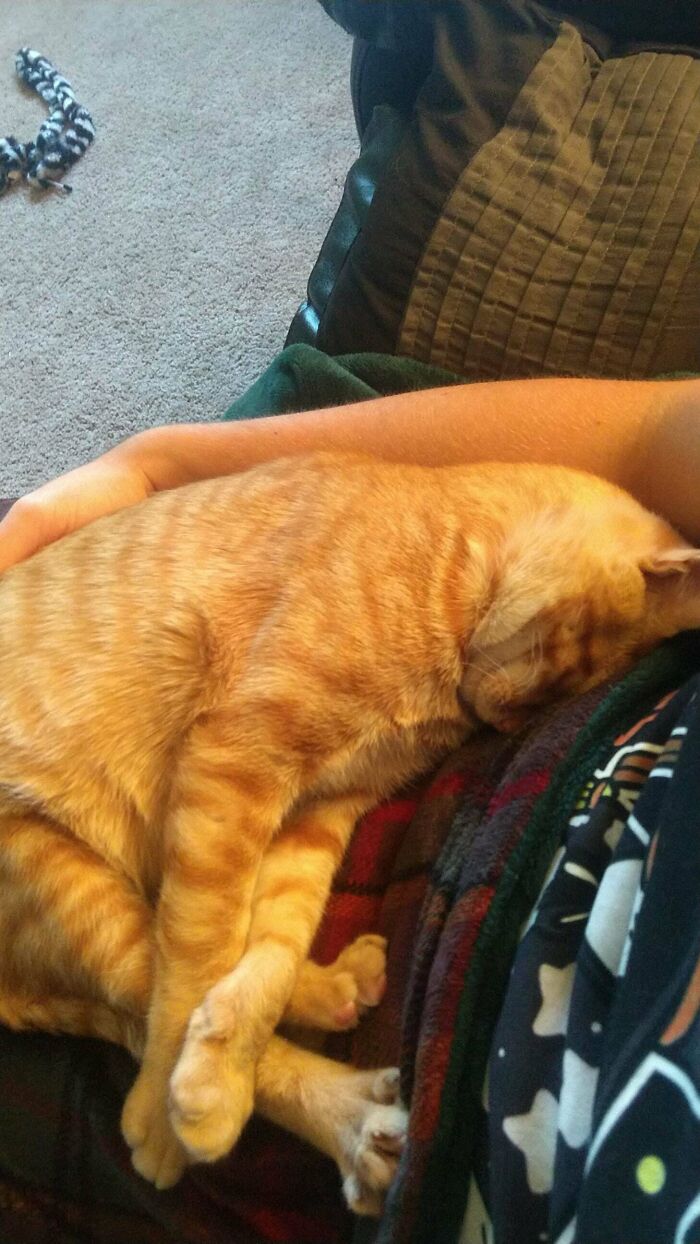 1 Hour After I Adopted Him