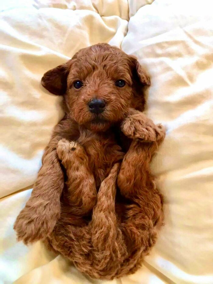 Yesterday My Wife And I Got To Meet Our Beautiful Baby Girl, Lilo!