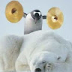 freddiethesortofok avatar